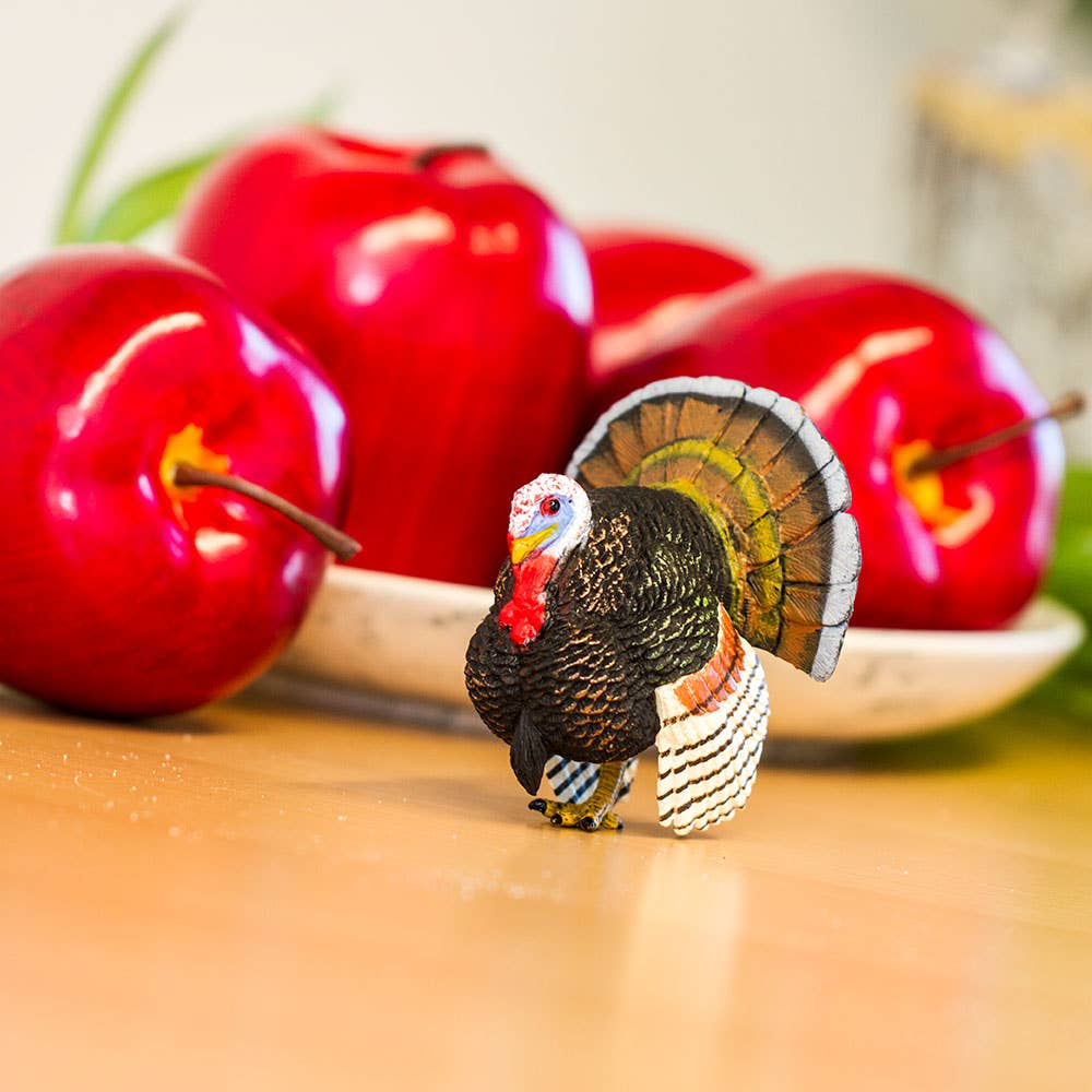 Turkey
