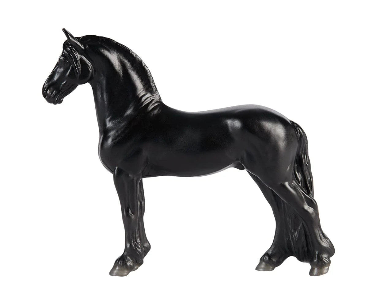 Friesian