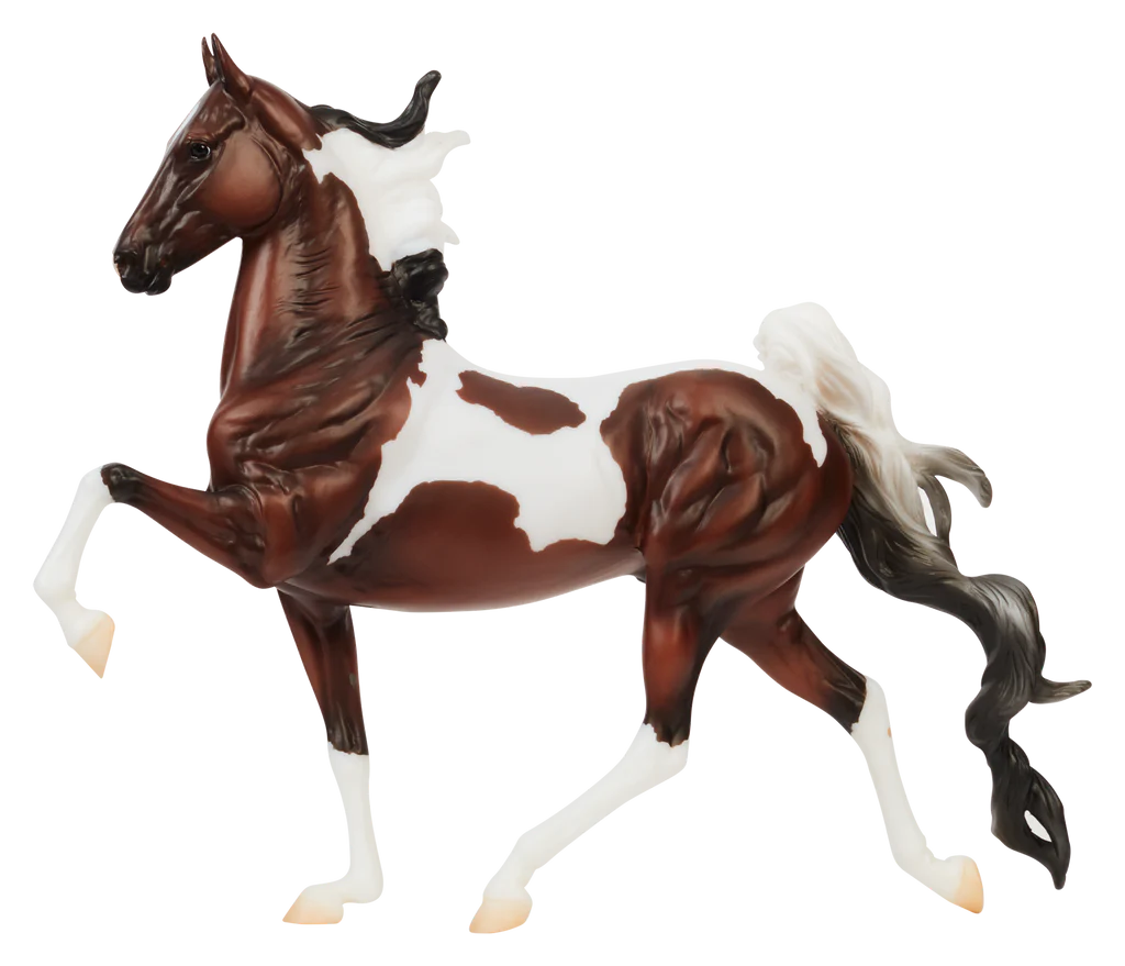 Ideal Series - Pinto Saddlebred