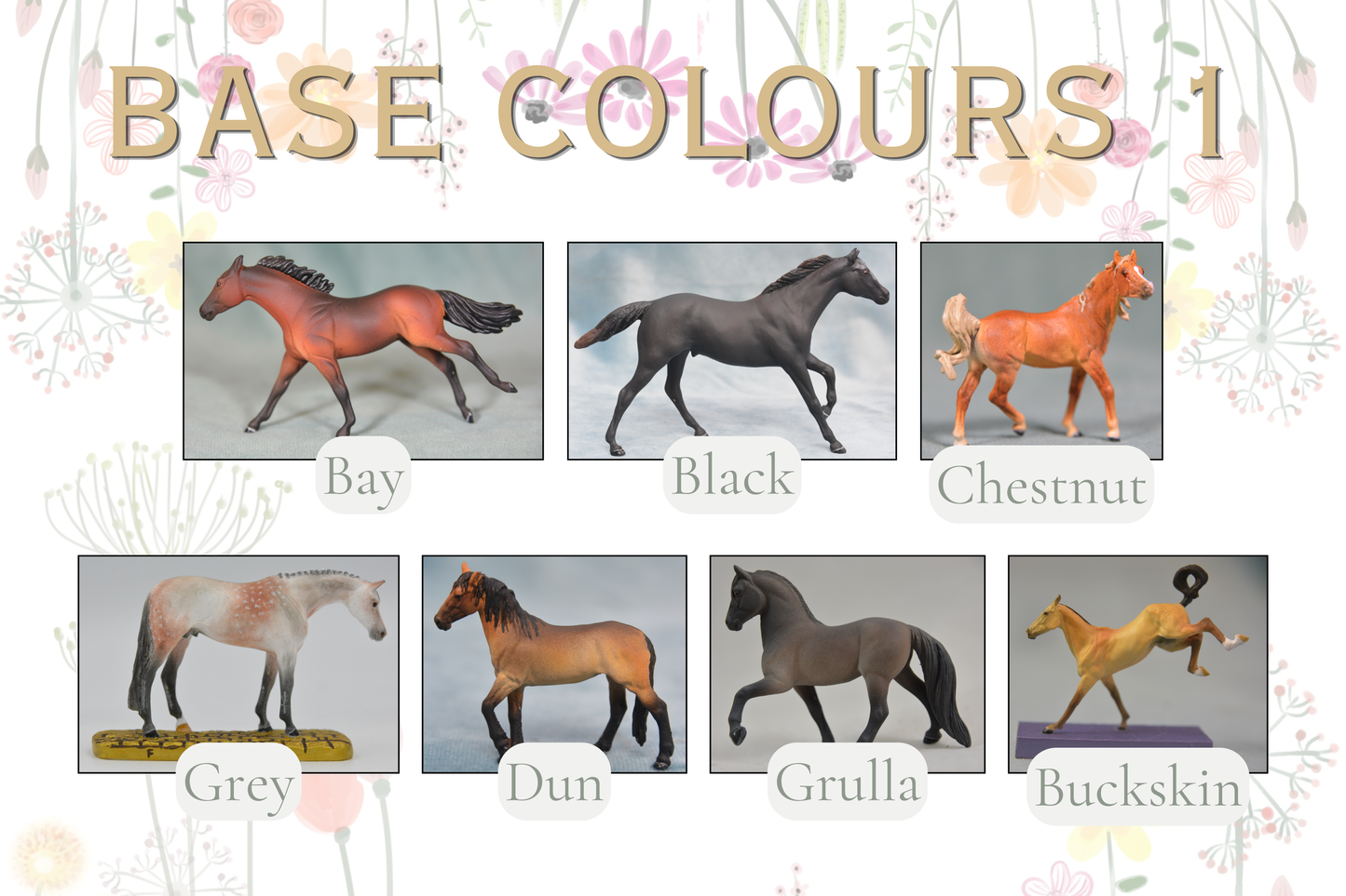 Colour Me Custom - G2 Clydesdale 2