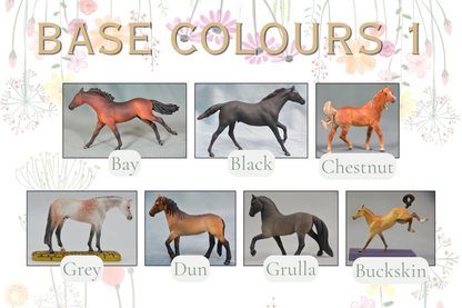 Colour Me Custom - G2 Clydesdale 2