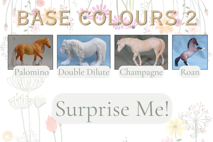 Colour Me Custom - G2 Clydesdale 2
