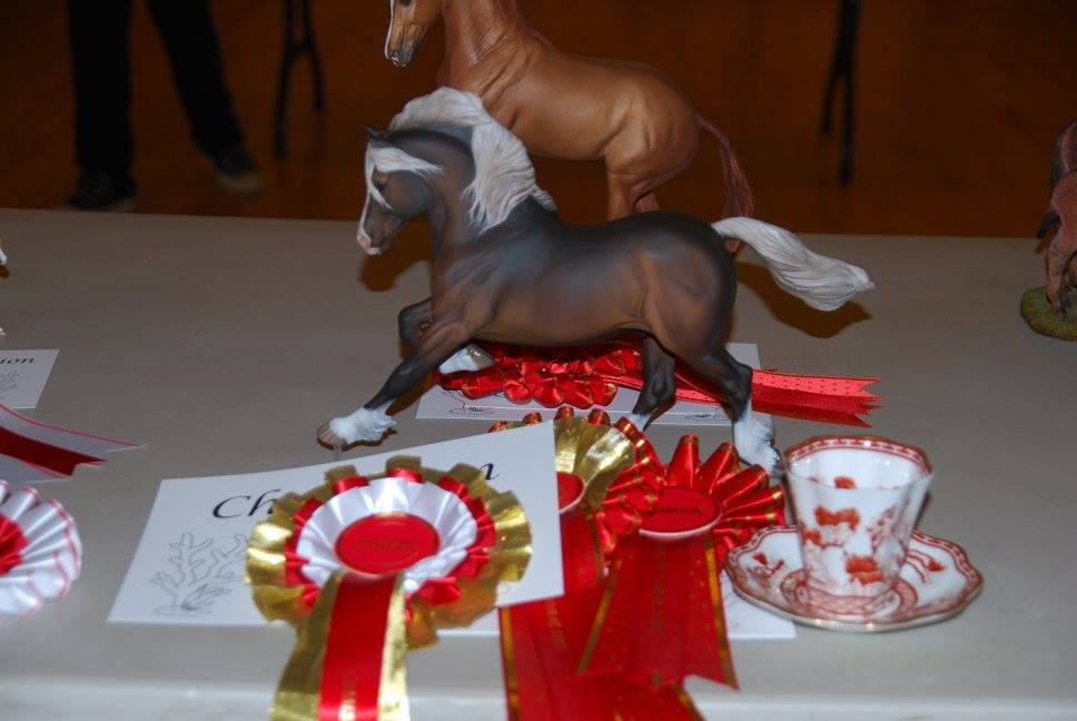 Custom Copperfox Welsh D - Supreme Champion Crimson Coral CM Live 2017