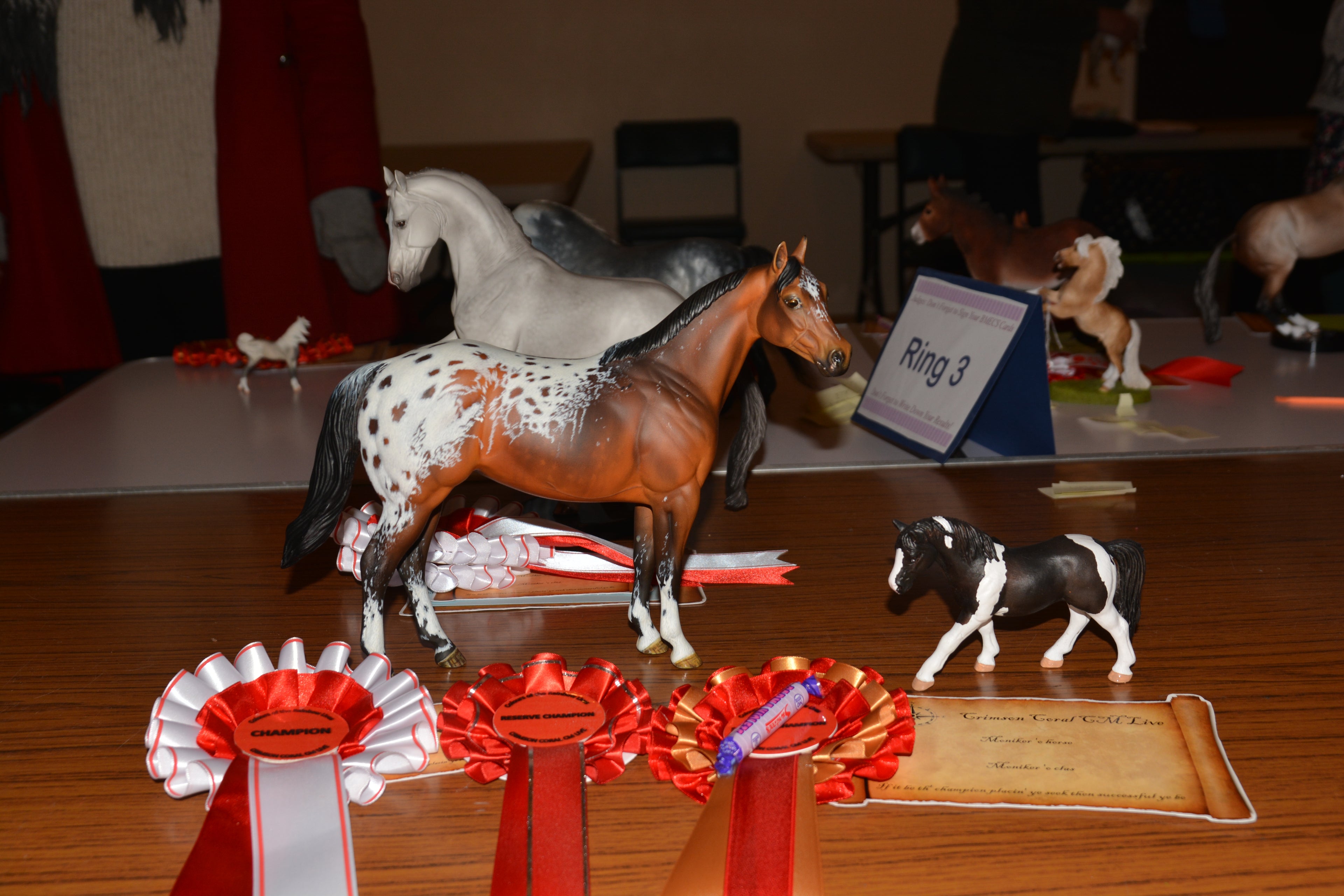 Custom Peter Stone Ideal Stock Horse - Supreme Champion Crimson Coral Custom Live 2017