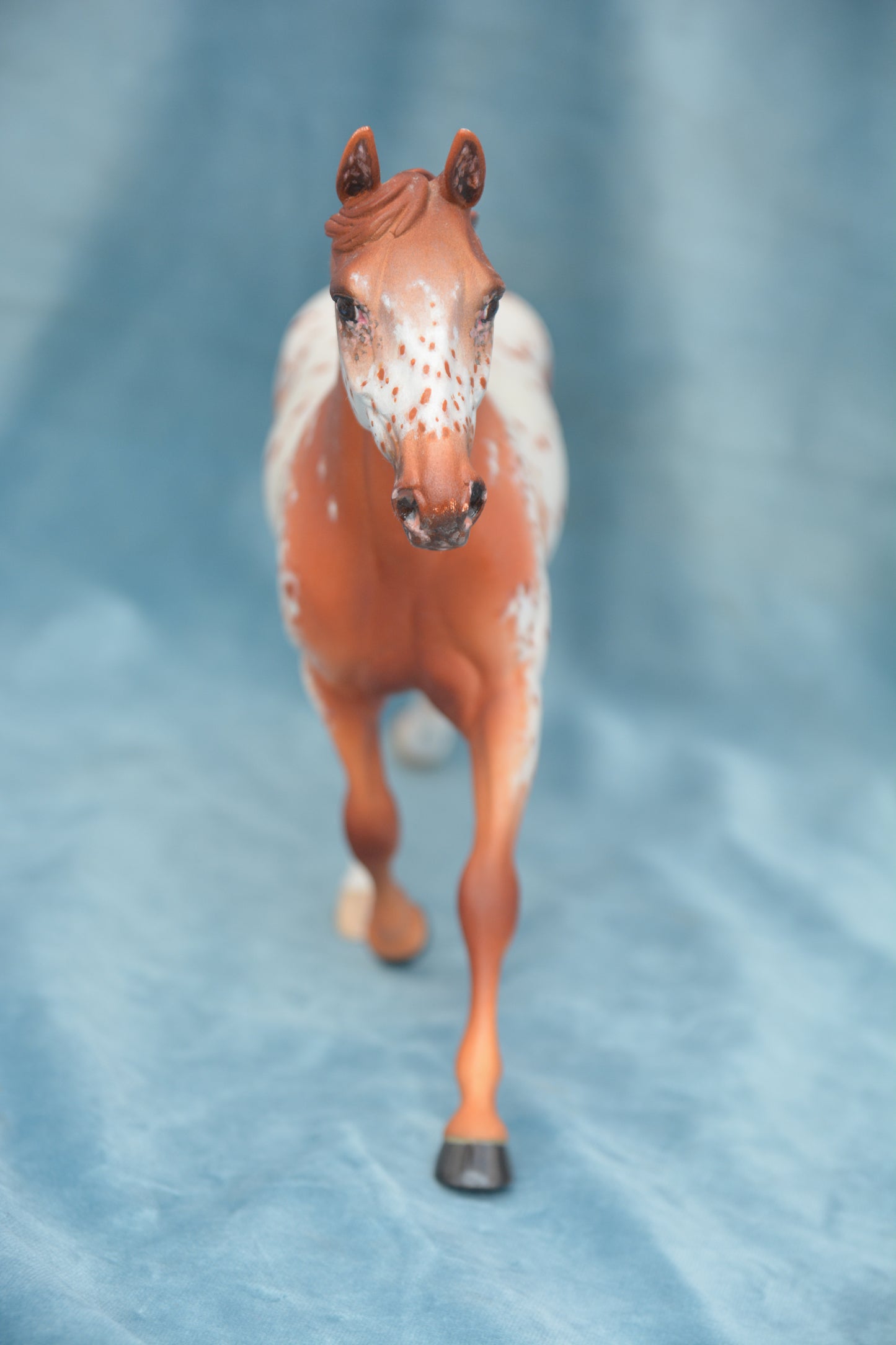 Custom Palouse