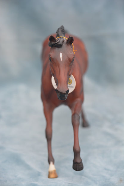 Sam