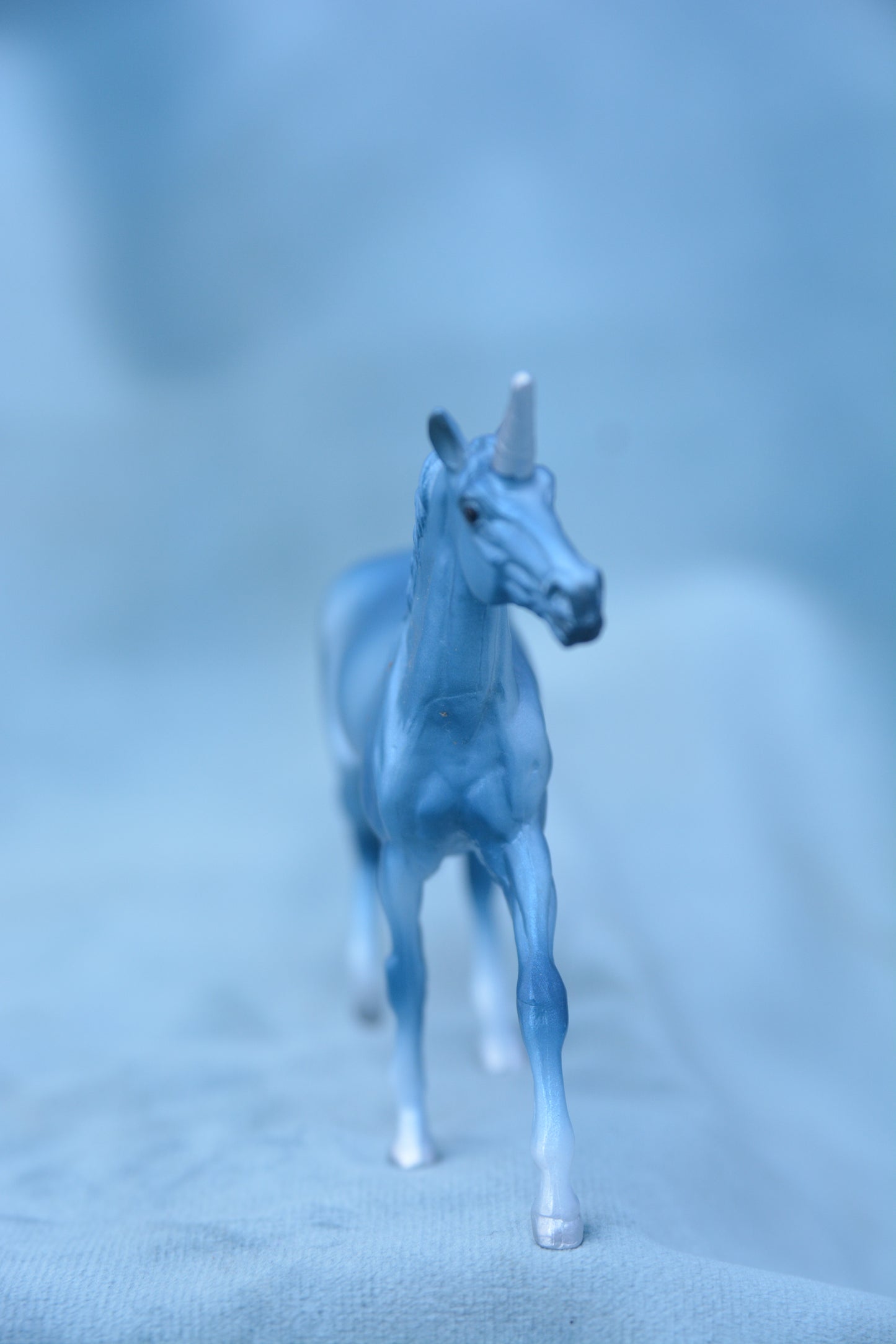 Blue Unicorn