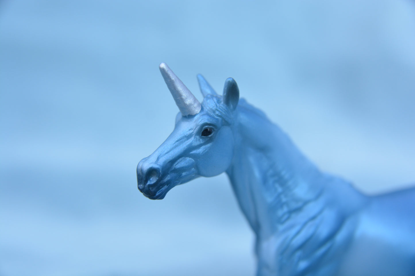 Blue Unicorn