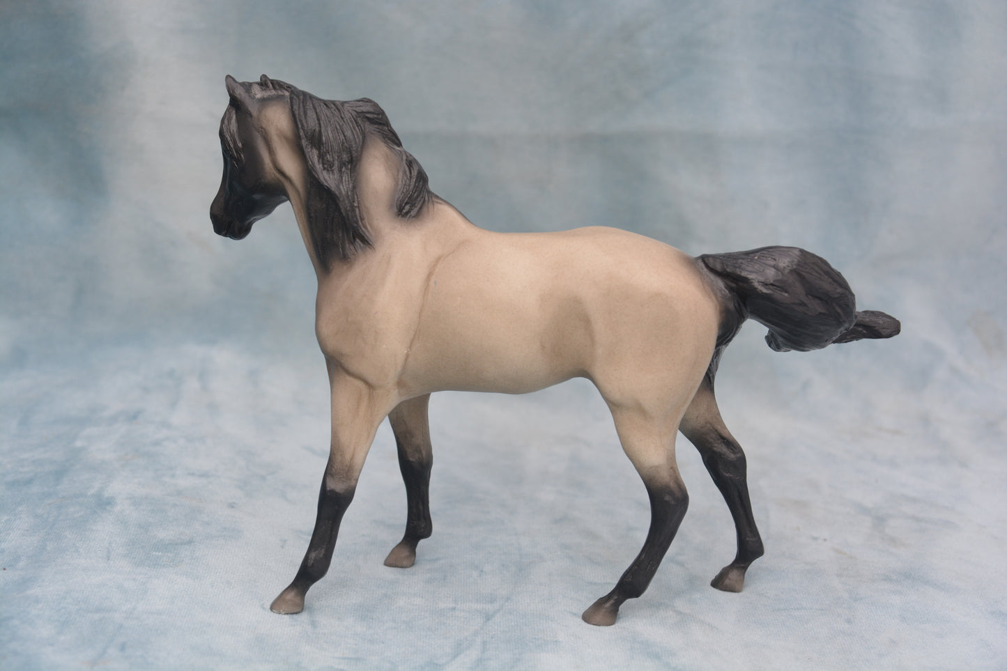 Cloud's Legacy - Mare