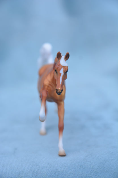 Palomino Galloping Arabian Stallion 2