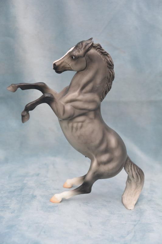 Dapple Grey Mustang