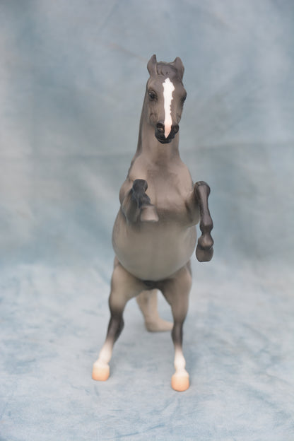 Dapple Grey Mustang