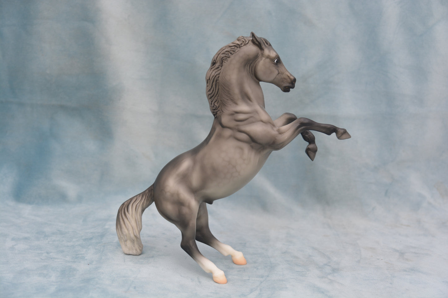 Dapple Grey Mustang