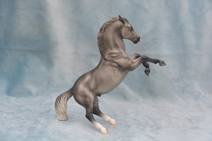 Dapple Grey Mustang