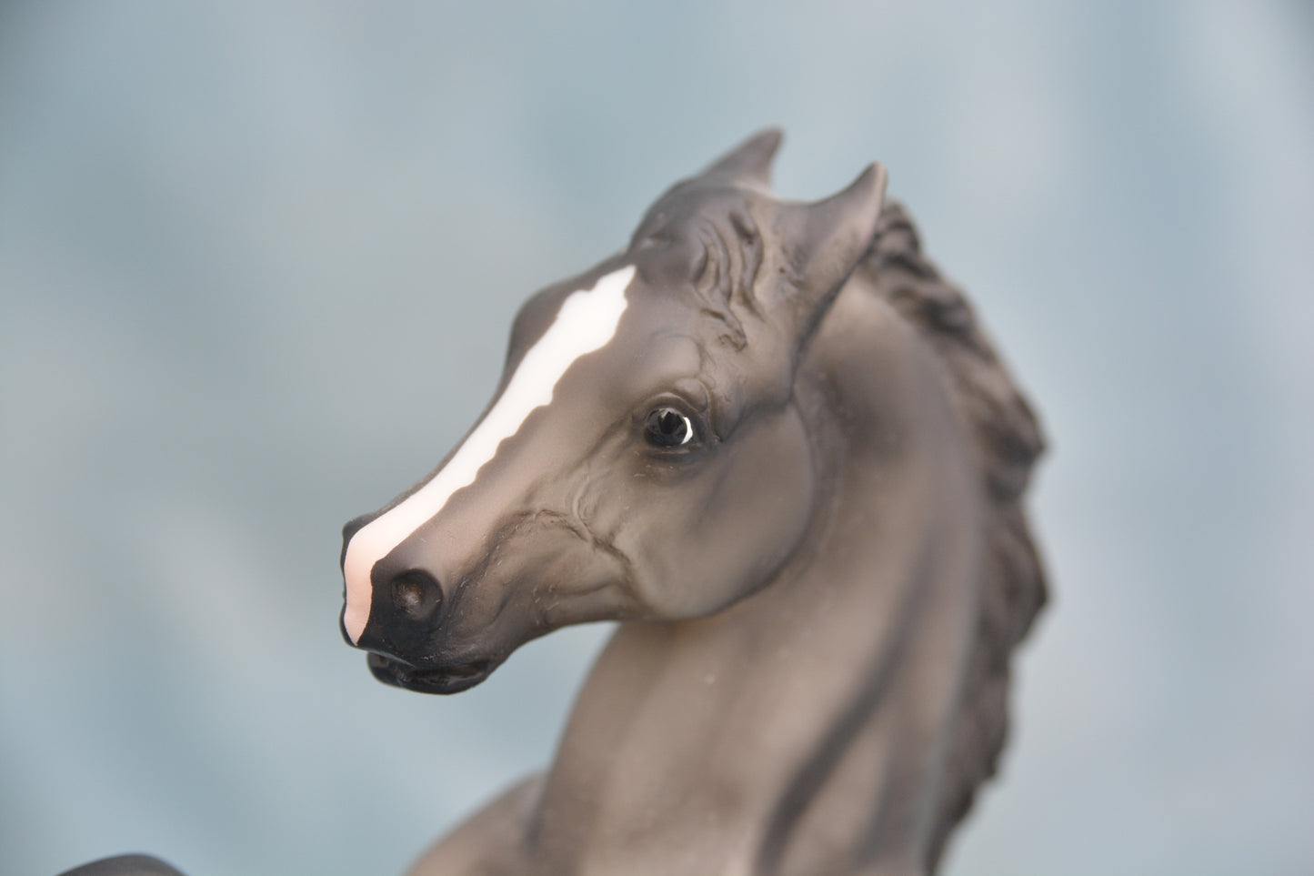 Dapple Grey Mustang