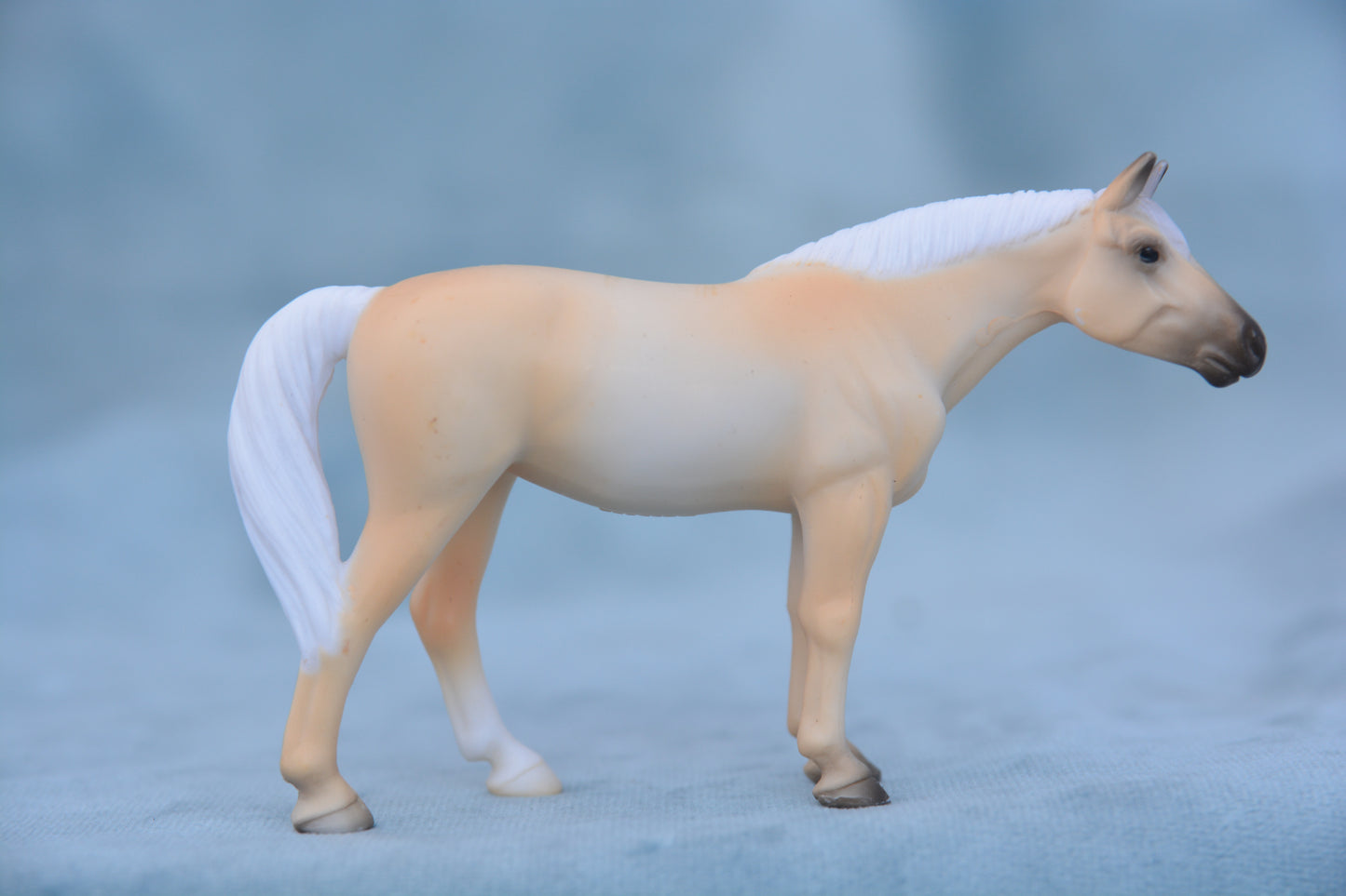 Palomino Para Dressage