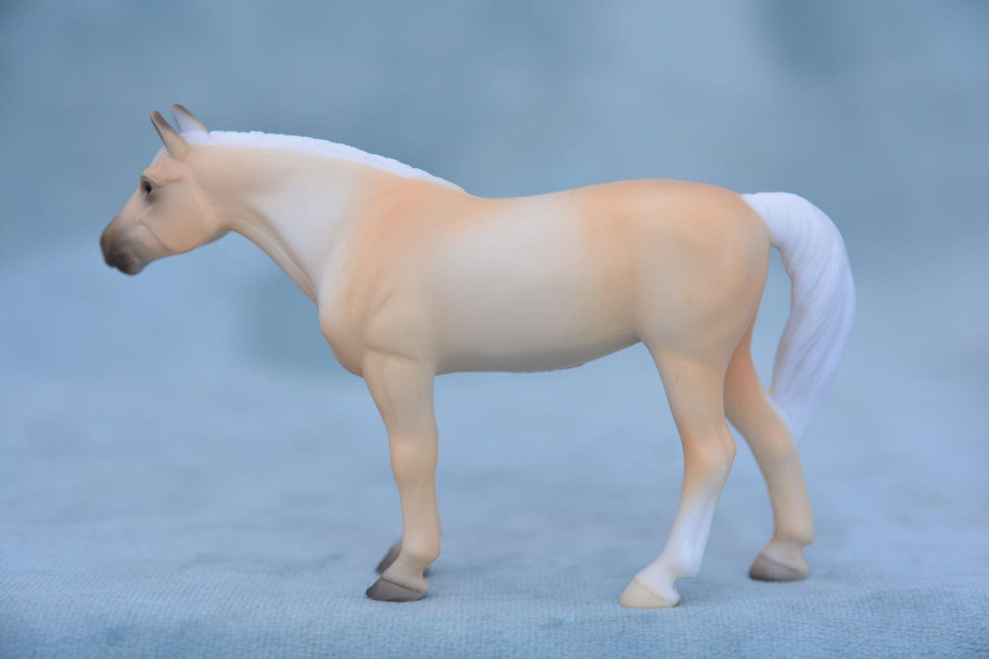 Palomino Para Dressage