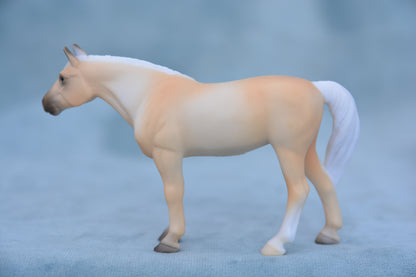 Palomino Para Dressage