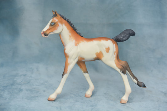 Pinto Foal