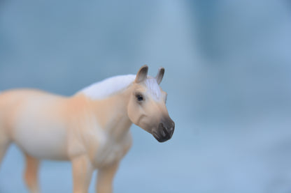 Palomino Para Dressage