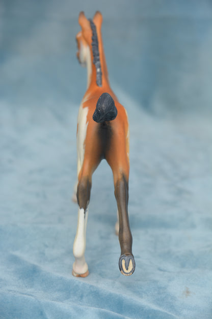 Pinto Foal