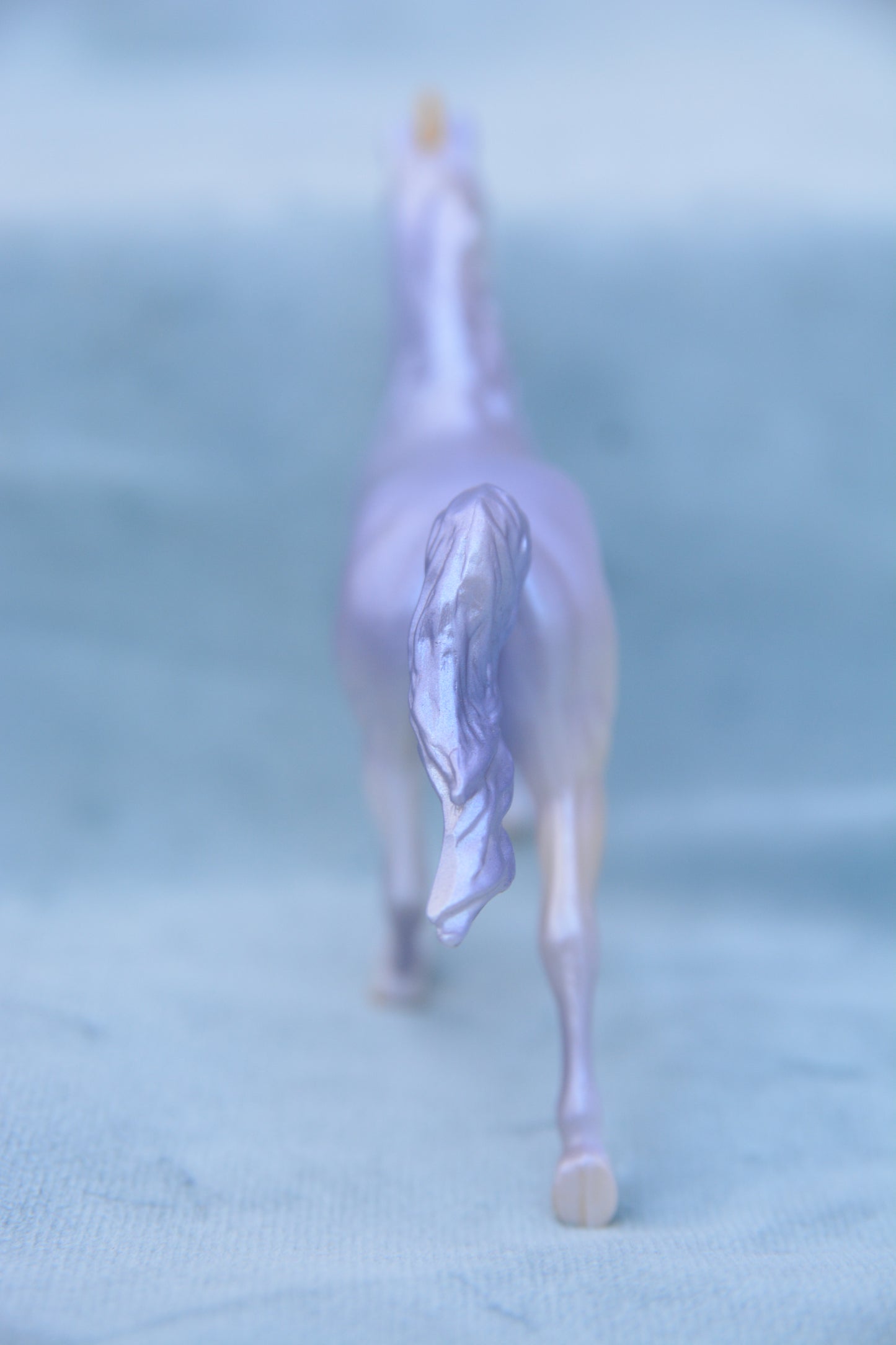 Enchanted Prince Charming