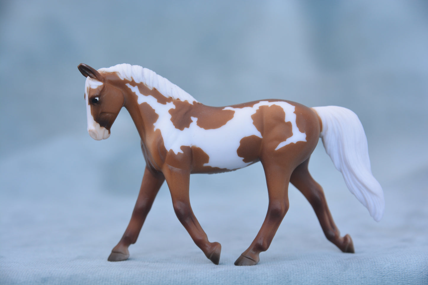 Pinto Trotting Warmblood