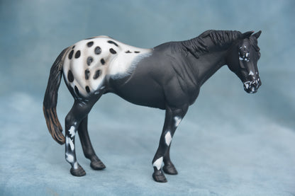CollectA Appaloosa