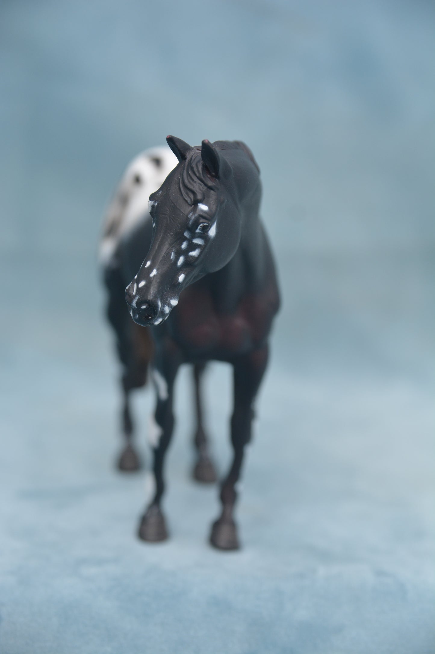 CollectA Appaloosa