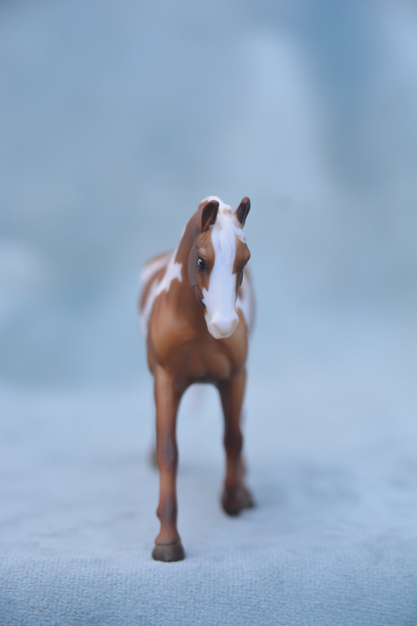 Pinto Trotting Warmblood