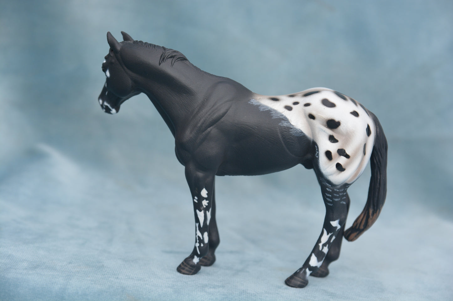 CollectA Appaloosa