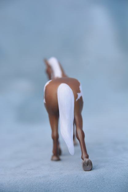 Pinto Trotting Warmblood