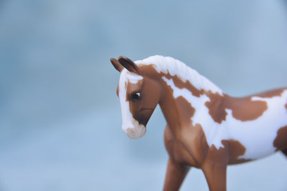 Pinto Trotting Warmblood