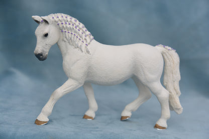 Lipizzaner Mare
