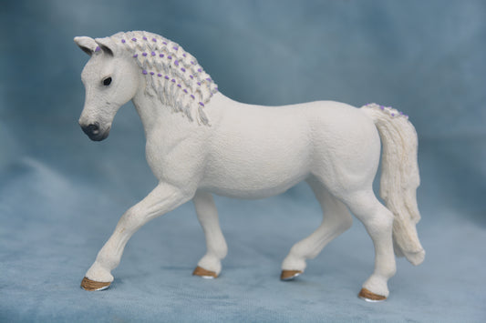 Lipizzaner Mare