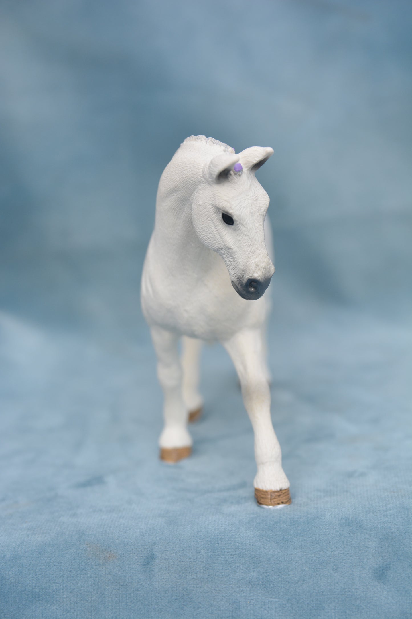 Lipizzaner Mare