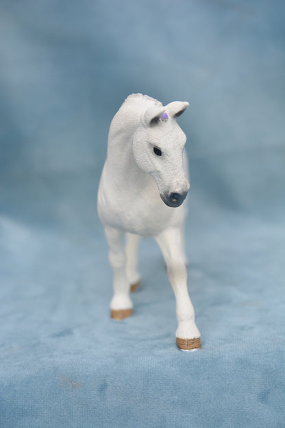 Lipizzaner Mare