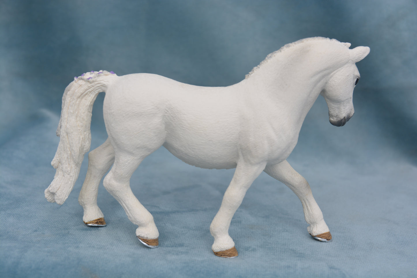 Lipizzaner Mare