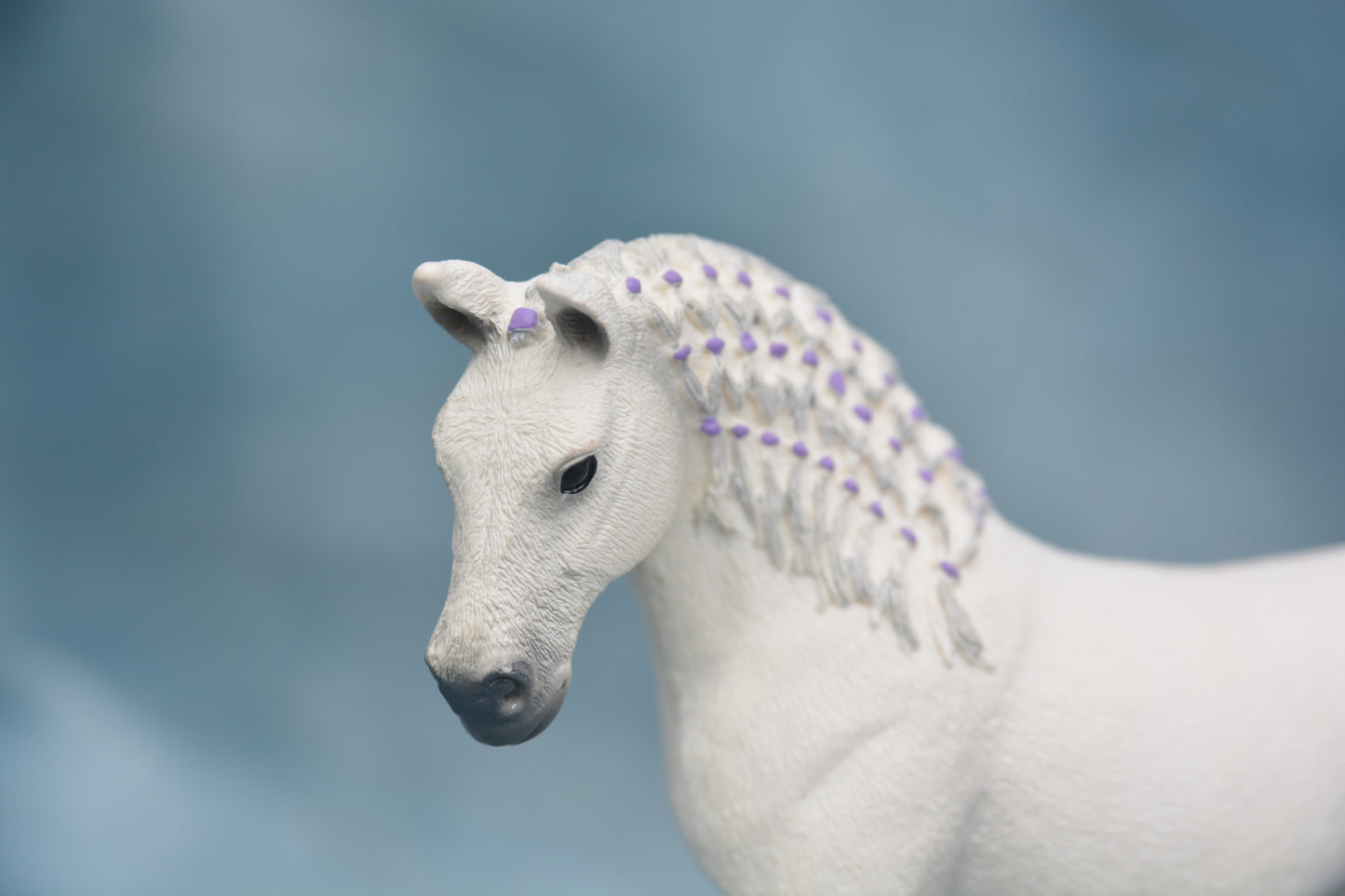 Lipizzaner Mare