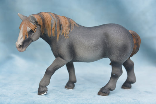 Percheron Mare