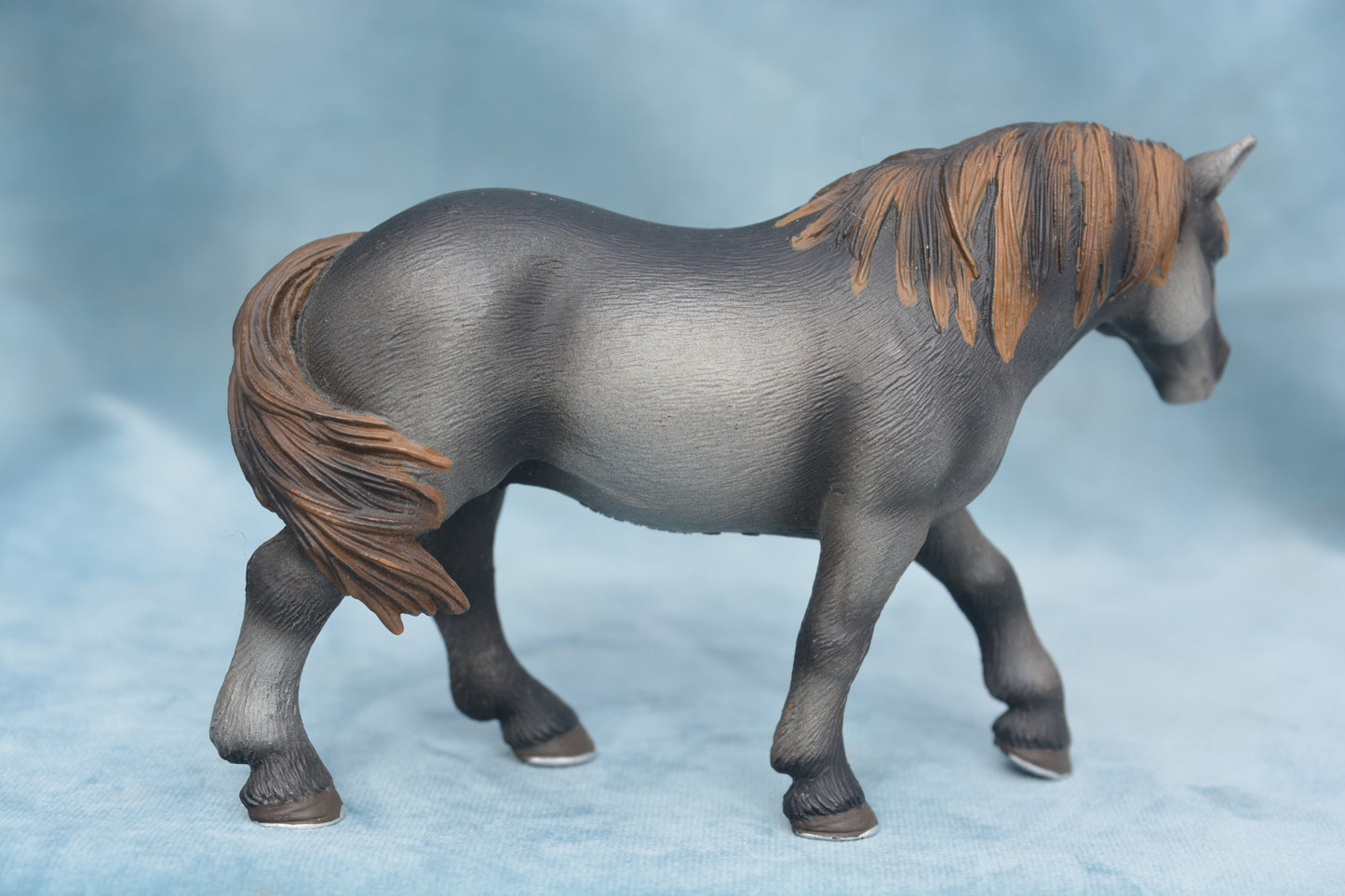 Percheron Mare