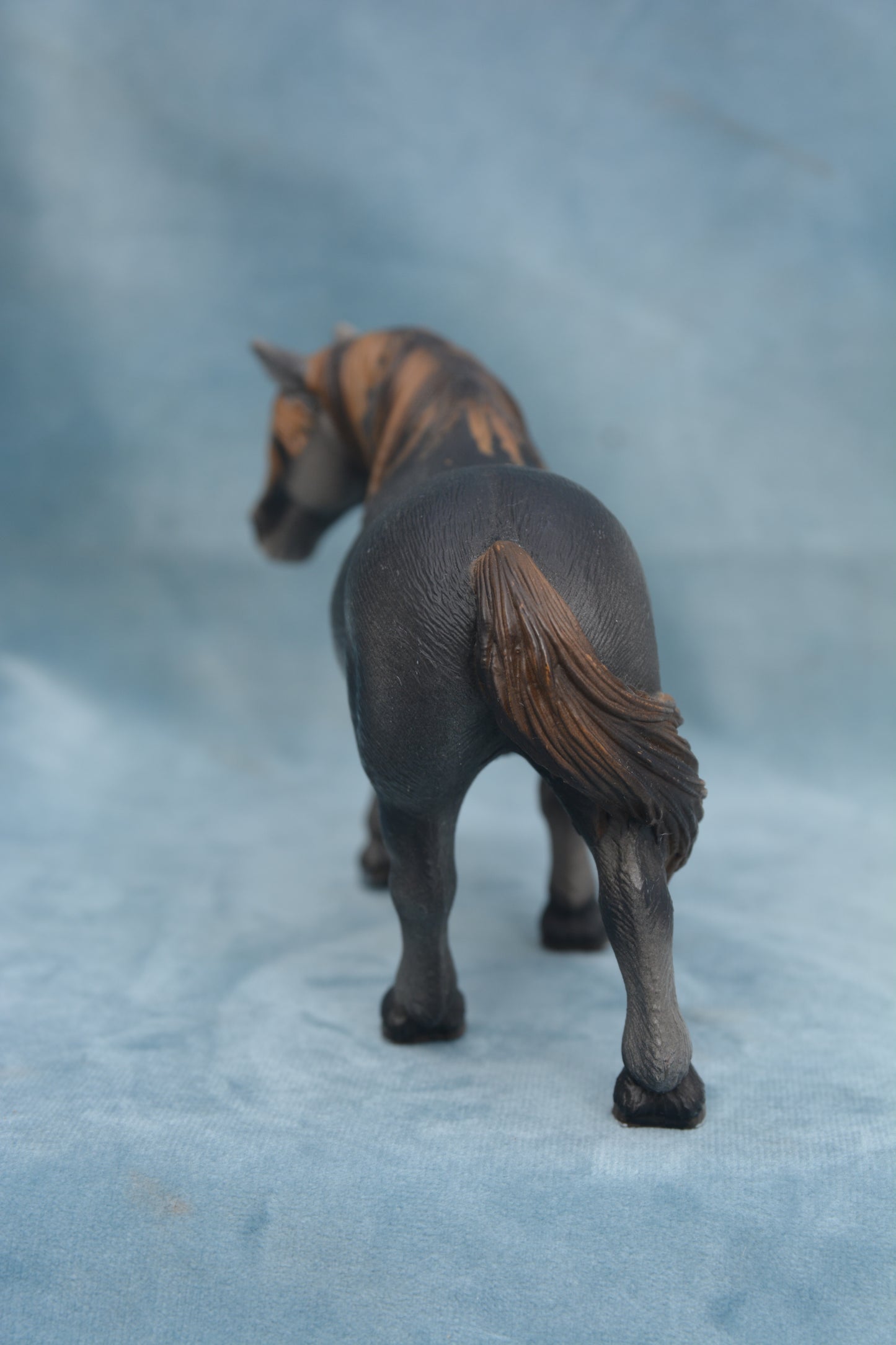 Percheron Mare