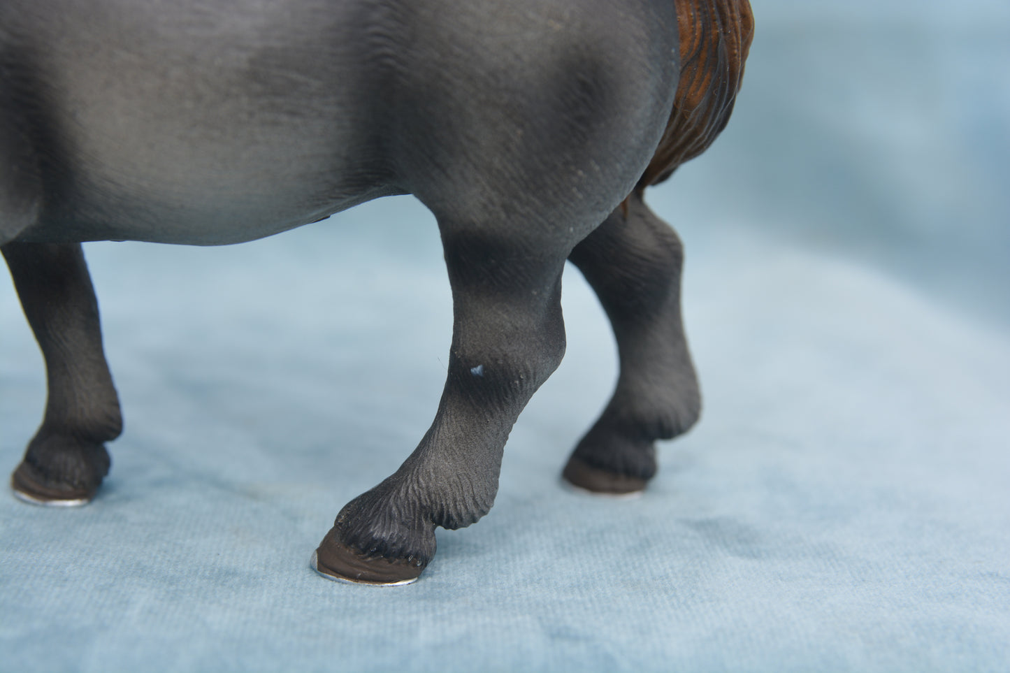 Percheron Mare