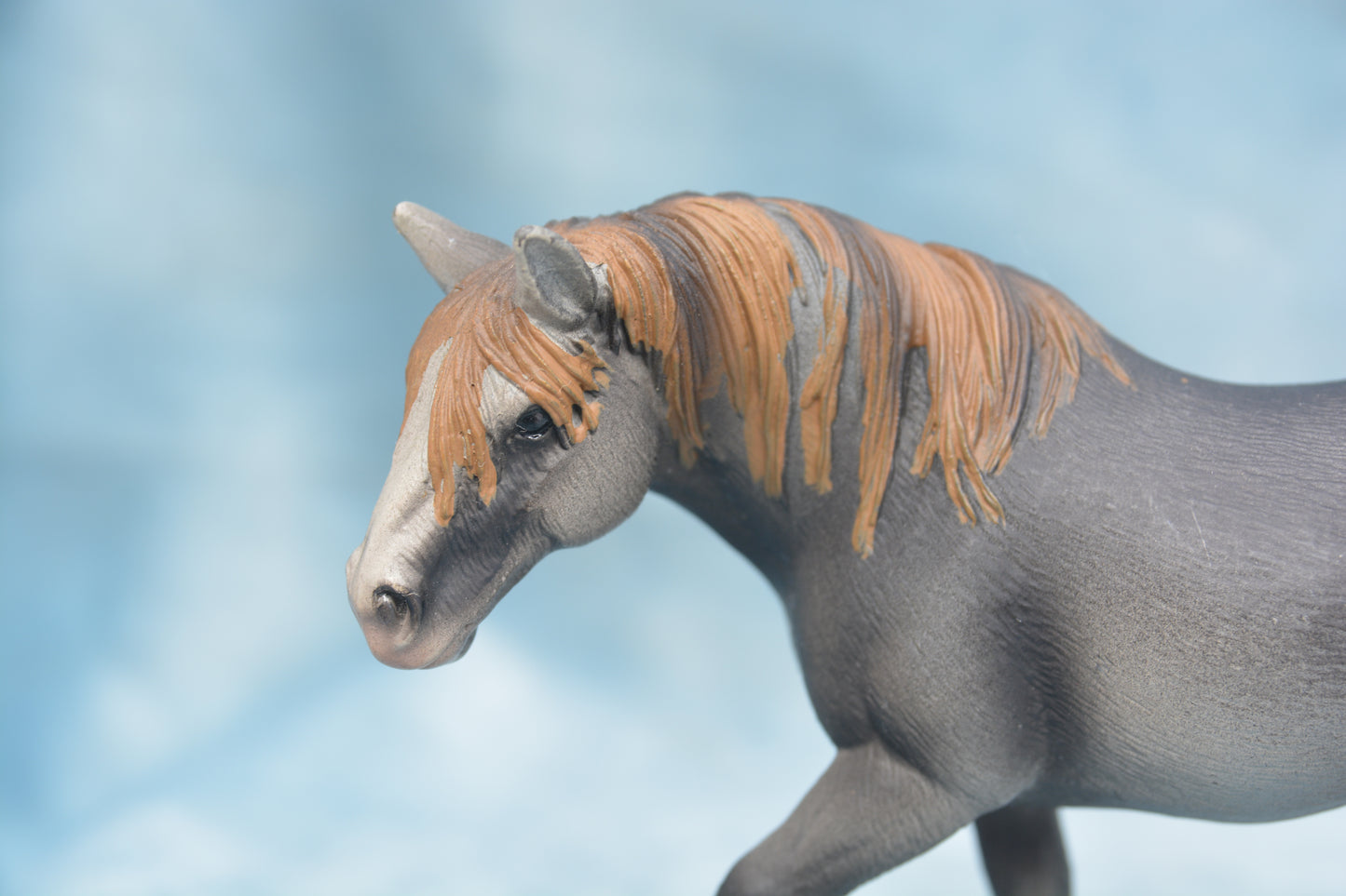 Percheron Mare