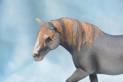 Percheron Mare