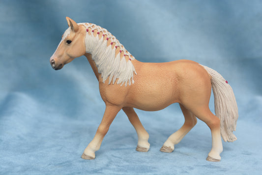 Haflinger Mare