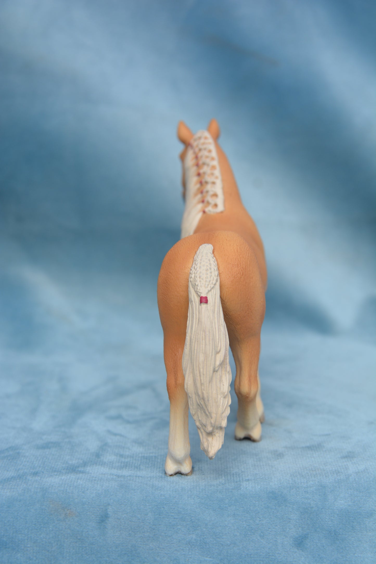 Haflinger Mare