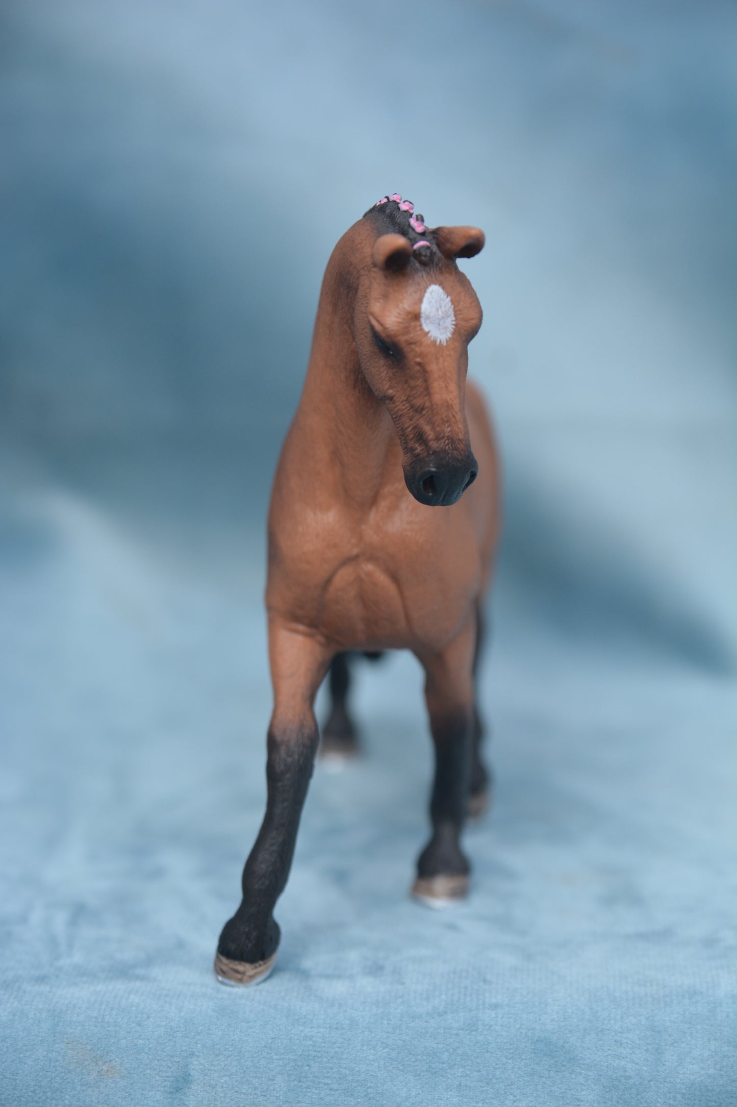 Hanoverian Mare