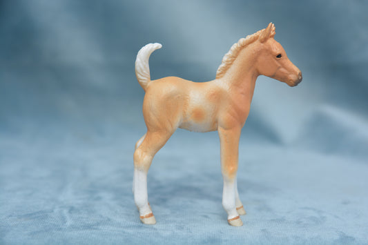 Pinto Foal - Standing