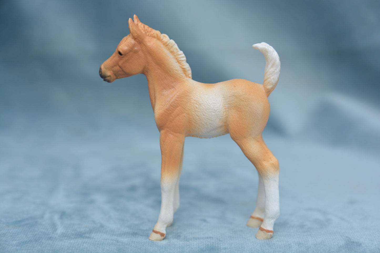 Pinto Foal - Standing